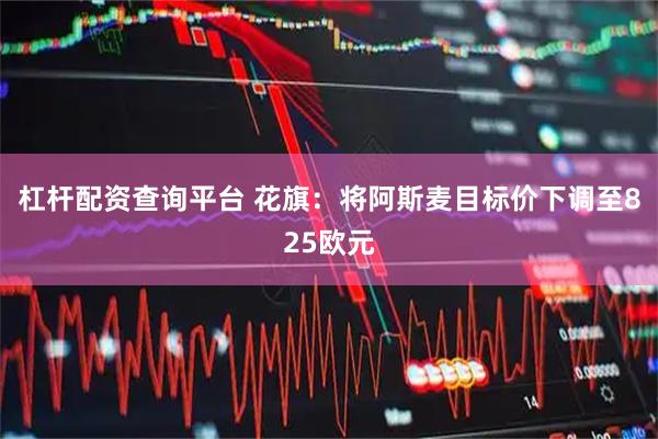 杠杆配资查询平台 花旗：将阿斯麦目标价下调至825欧元